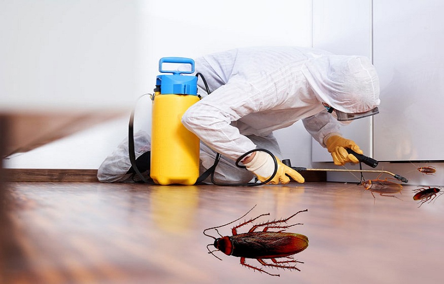 Cockroach Control