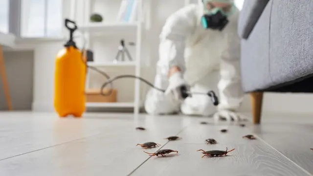 Cockroach Control