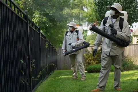 Outdoor & Other Pests