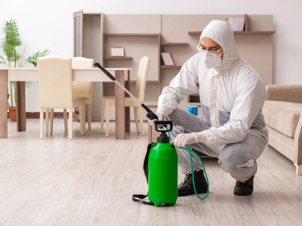 Pest Control Services Aus