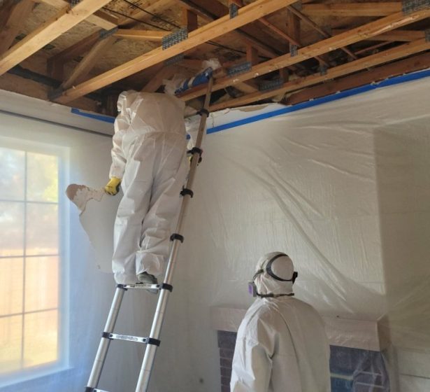 Pest Control Services Pest Control Services
